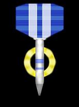 PBF Mission Report Medal